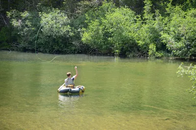 DSC_3214 (Large).JPG